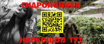 2c-b Кандалакша
