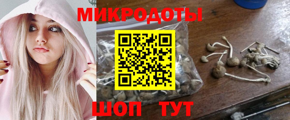 Псилоцибиновые грибы прущие грибы  наркошоп  Новороссийск  Галлюциногенные грибы Psilocybe  Вход с VPN 